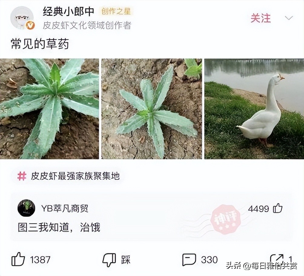 盐选神回复巧妙避开所有重点,盐选神回复