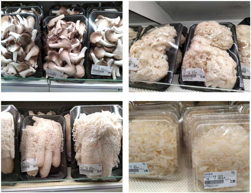 这些菌类你认识几种,这些食用菌之最你都知道吗