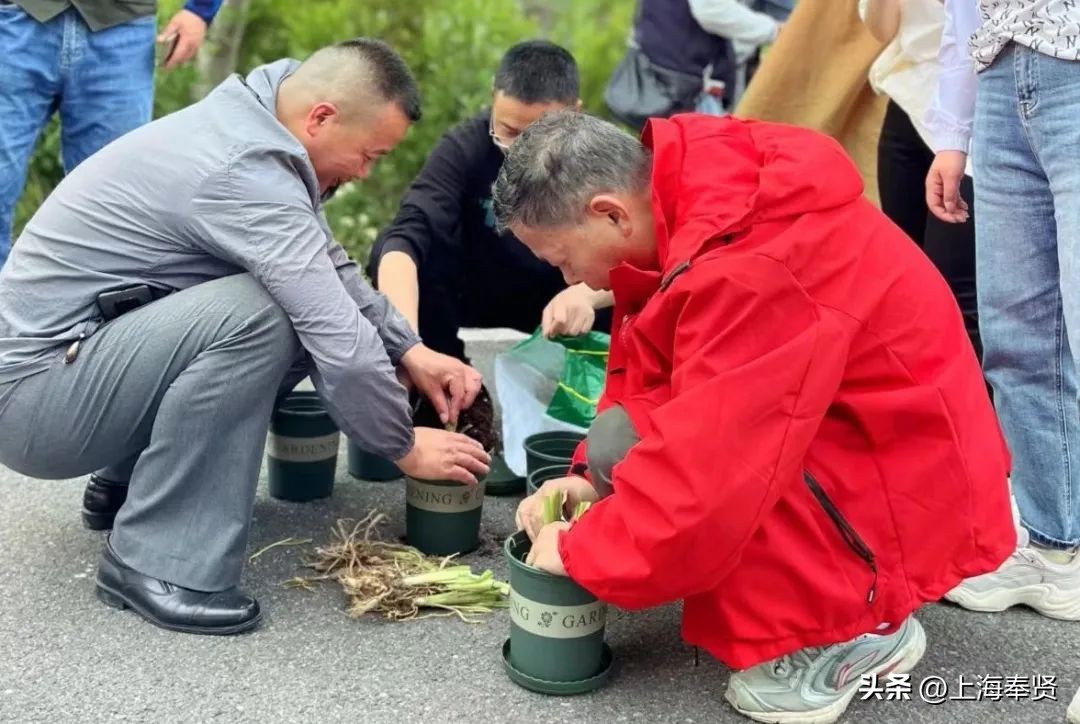 春归入夏，在萱草花盛开的日子里，致敬最美的妈妈！