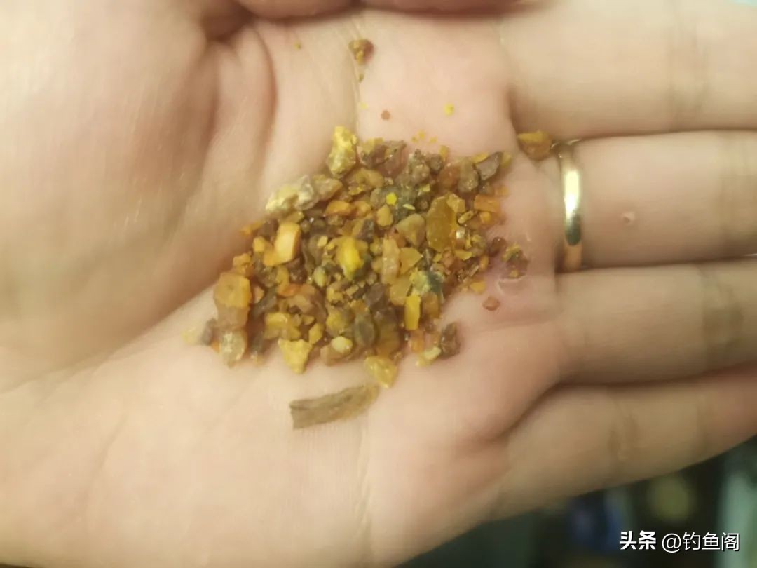 钓鲢鳙有哪些配方和技巧,钓鲢鳙饵料加什么最好