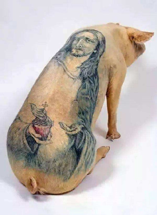 1997年,男子给活猪纹身,还把猪皮卖给了香奈儿,一张猪皮赚51万