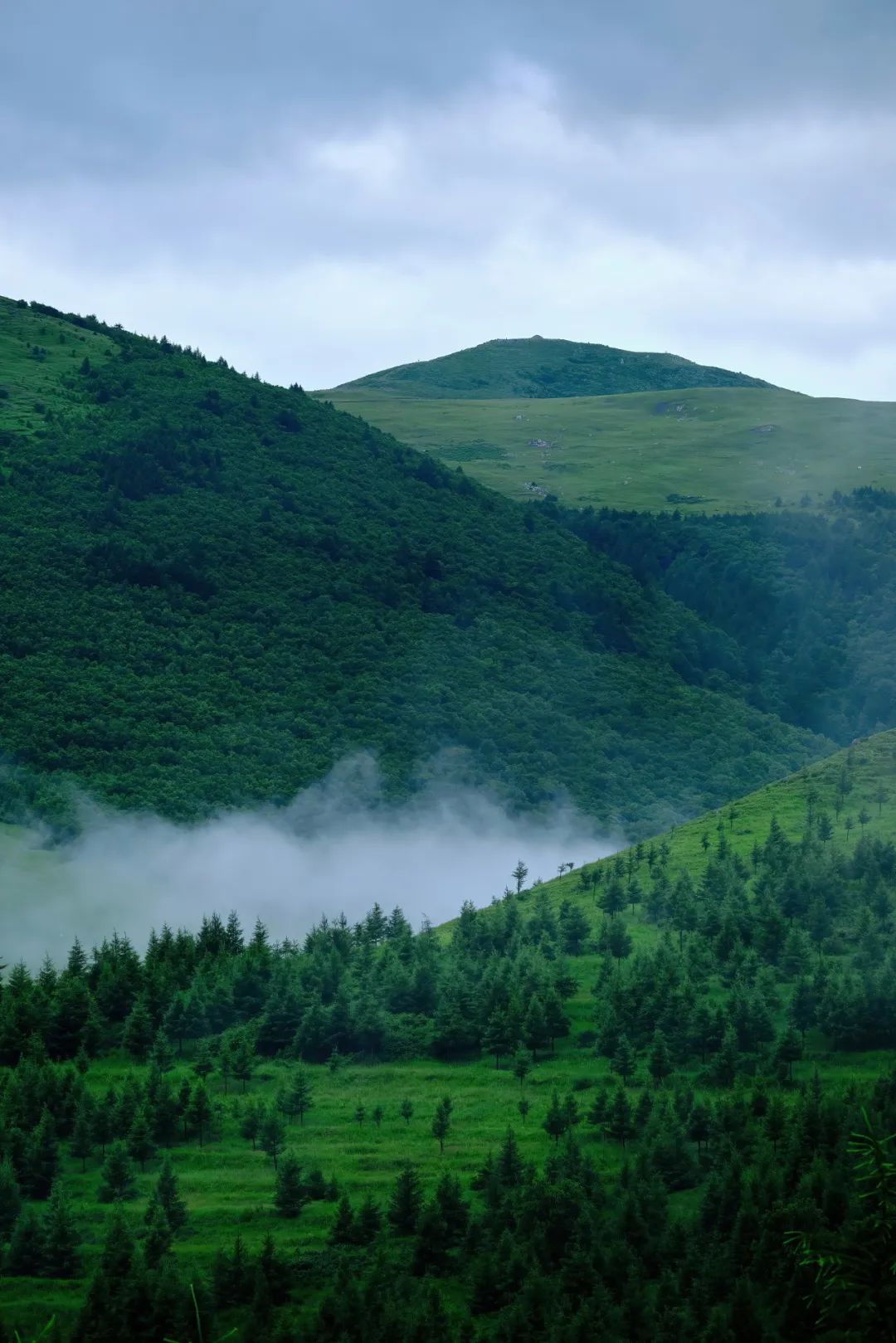 现在的真实北京,很真实的北京现状