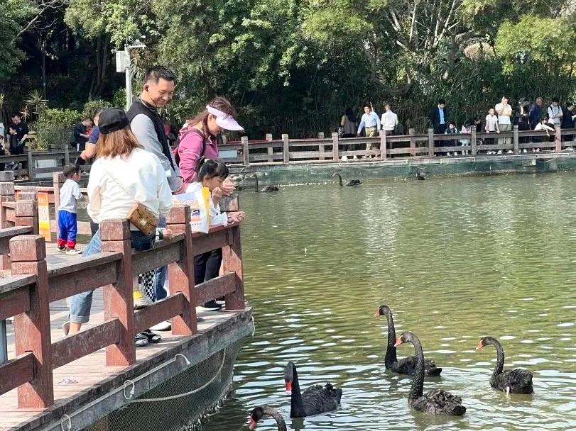 一起乘坐火车去旅游,一起乘坐飞机旅游