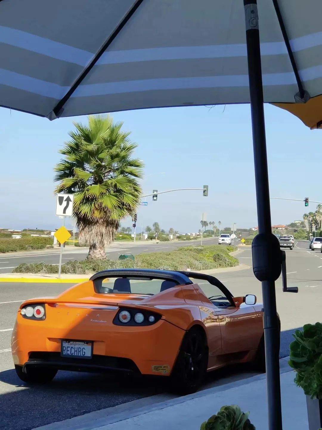 Moments｜创业者的2022：Recharge，劫后新生，海葵复苏了