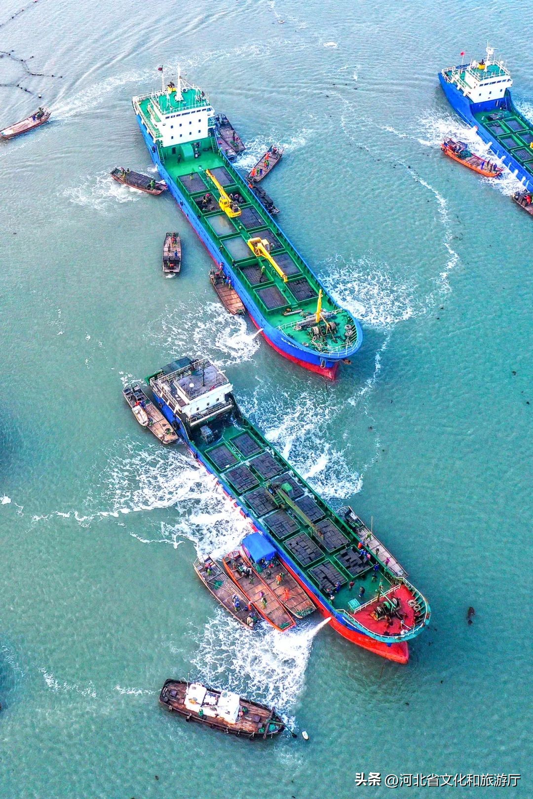 现在海鲜哪种最好吃,现在的海鲜哪个最好吃