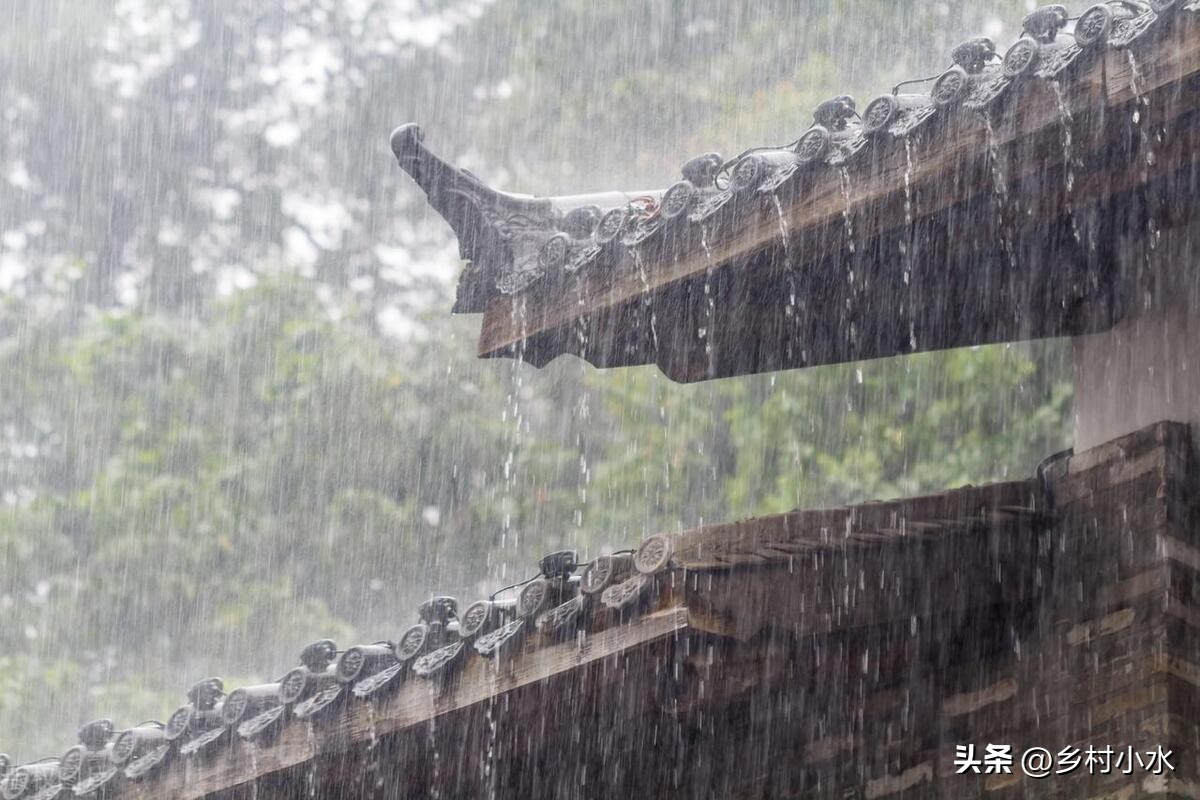 今天入伏下雨有什么说法,入中伏下雨有什么讲究