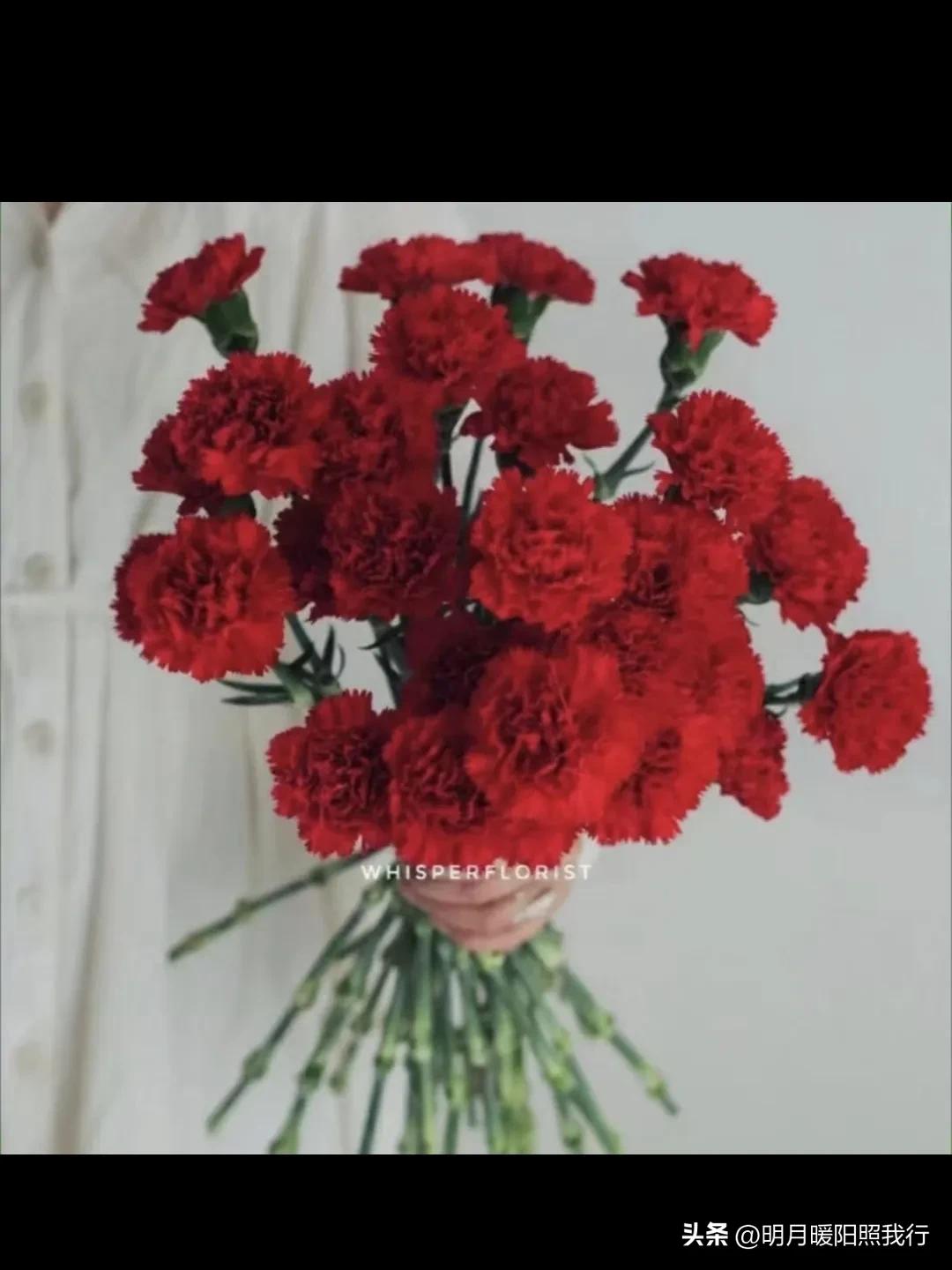 母亲节留一束康乃馨给自己,母亲节为何送康乃馨给妈妈