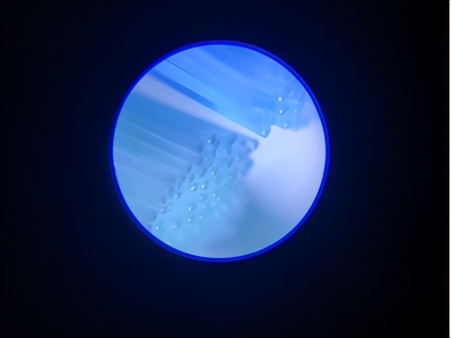 电动牙刷飞利浦欧乐b测评,飞利浦入门和高端电动牙刷