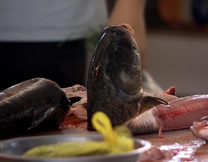 广西小伙养鱼败光家里500万,广西小伙养草鱼败光百万家产