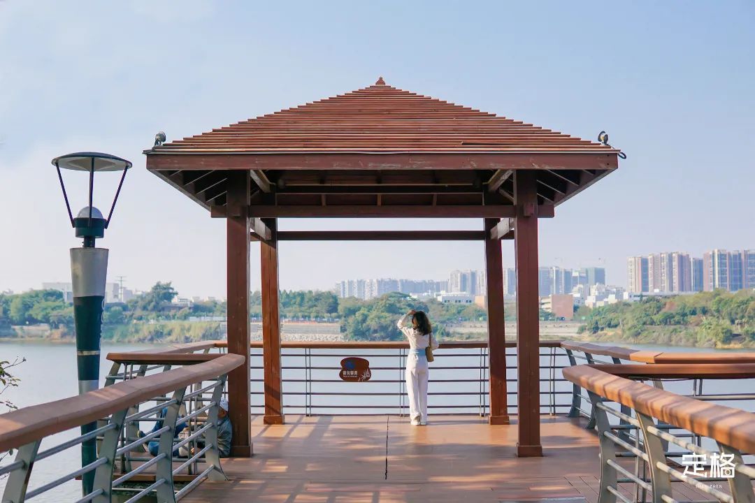 深圳九条最美绿道图片,这些深圳绿道骑出你的美