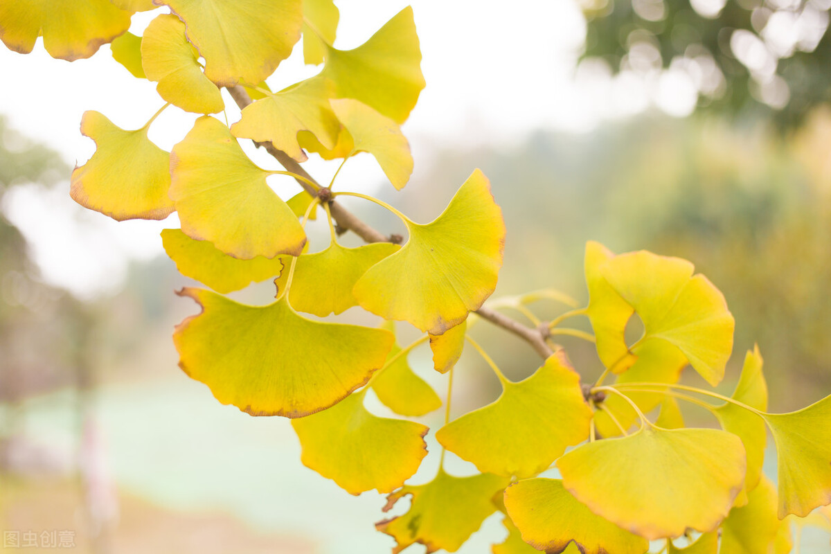 我在职场遇到不公平的事情怎么办,我在面试中遇见的奇葩事