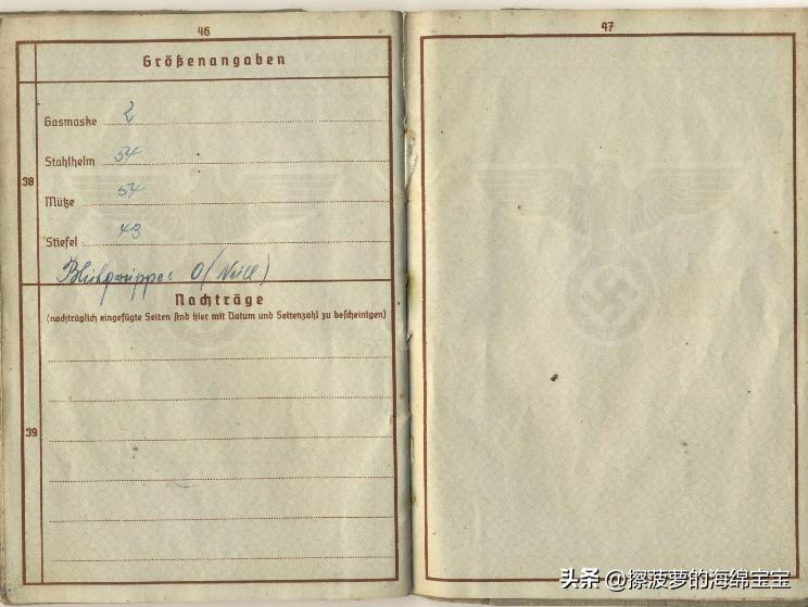 二战时德国军人的肩章,二战德国兵种领章