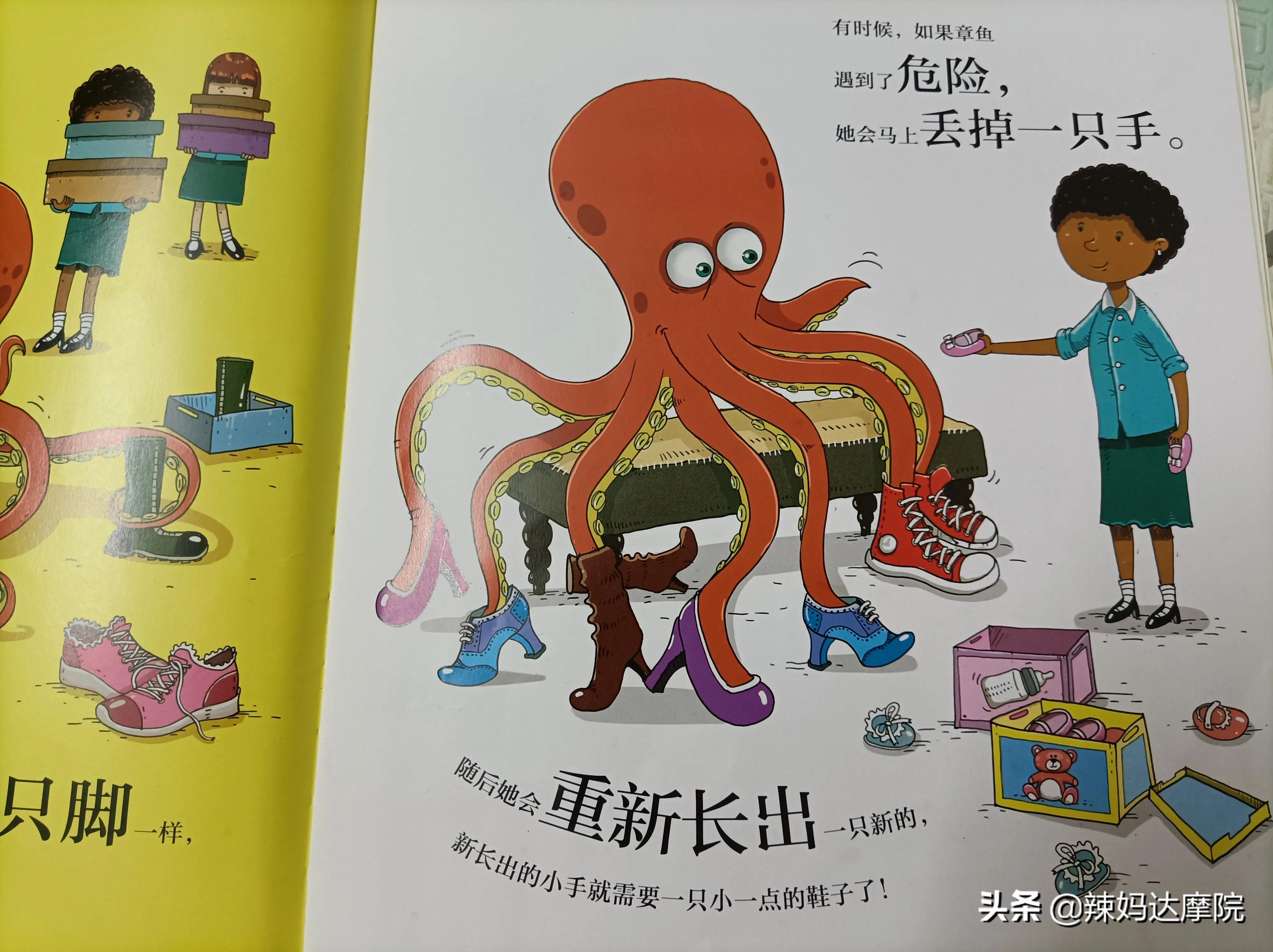 动物妙想国绘本有哪些动物,动物妙想国绘本英文版