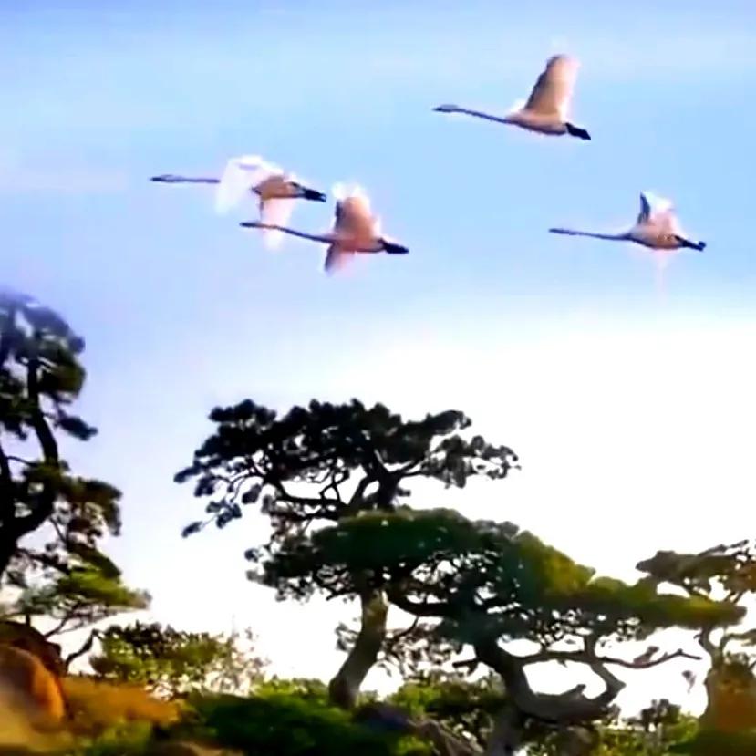 公安部管制刀具认定标准原文,公安部关于私藏管制刀具处罚标准