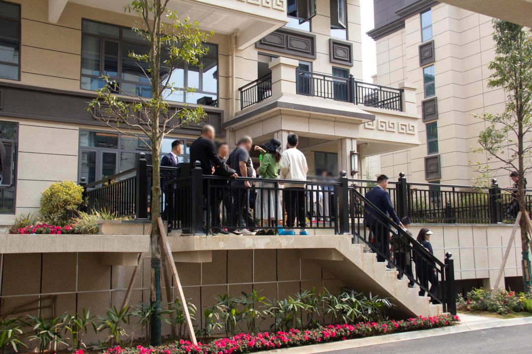 仙岭湖畔三马国际名车植树节公益活动圆满落幕