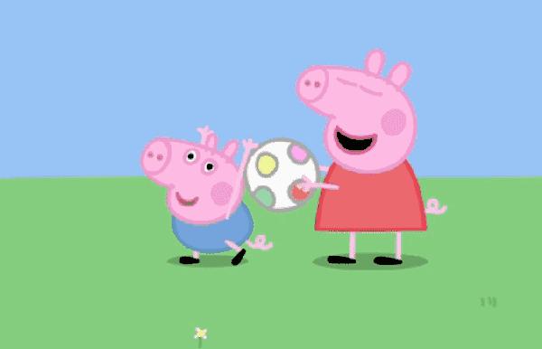 哪种猫招财好养活,哪种猫最招财又好养