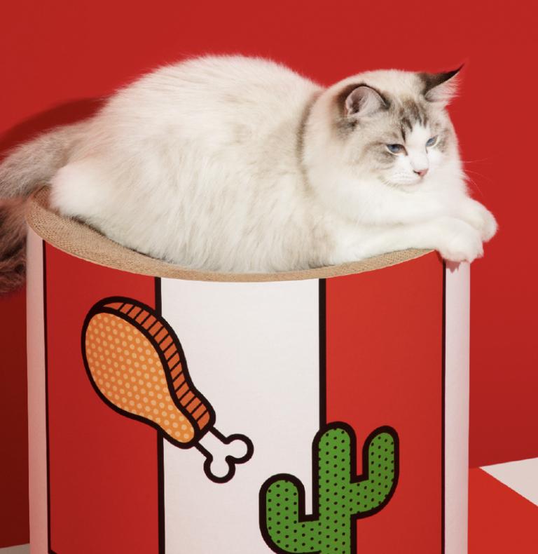 肯德基猫窝可选吗,肯德基猫窝是啥