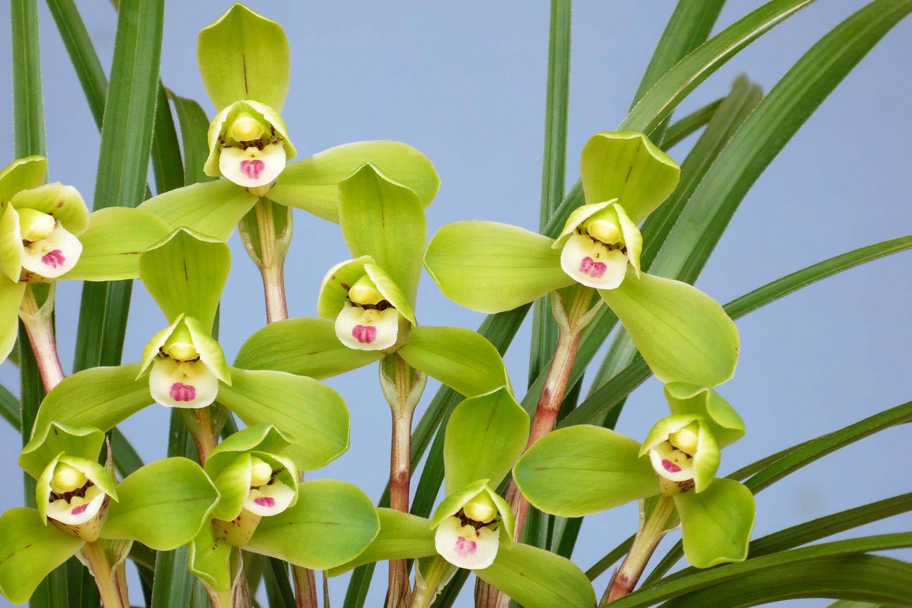 会计档案管理办法细则的最新版本,企业会计档案管理办法案例