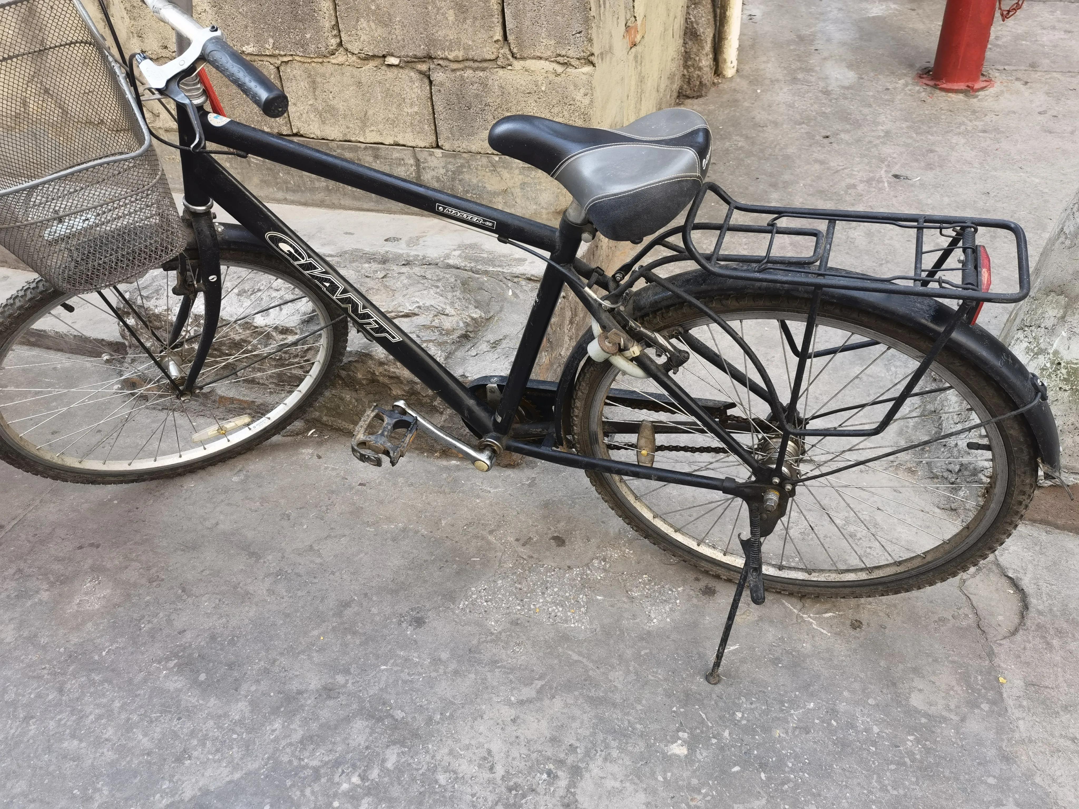 10年前的捷安特和现在的有区别吗,捷安特放了很久没骑都生锈了