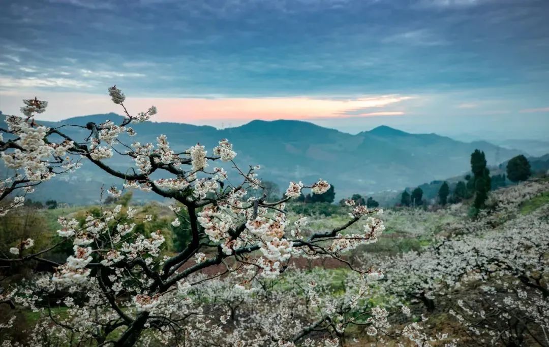 即将开赛的比赛,2024金堂县篮球比赛预告