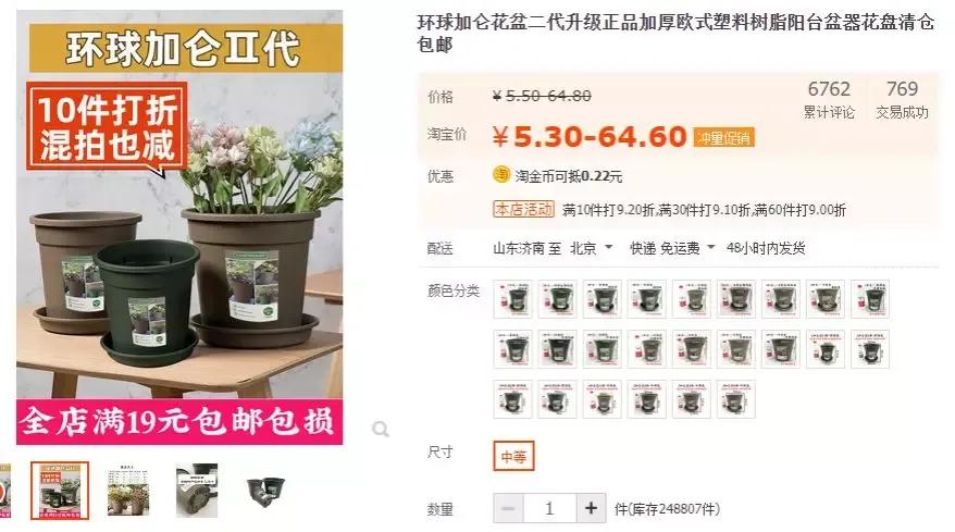 客厅实用盆栽植物有哪些,客厅一般放什么植物盆栽比较好