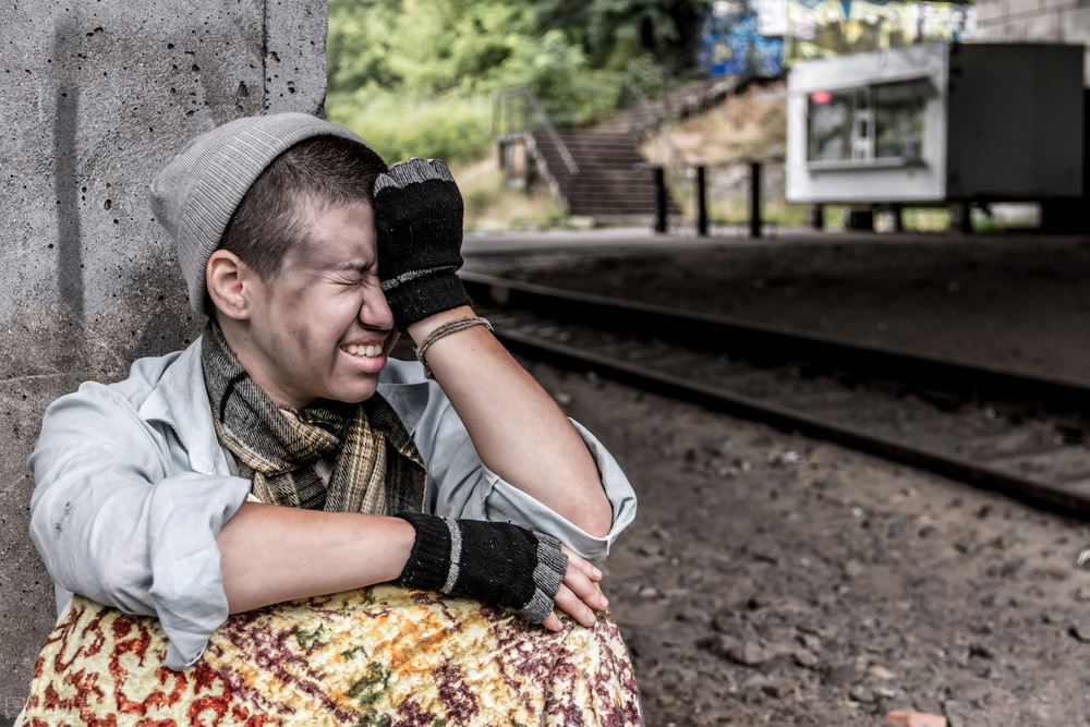 来自台湾省的乌龙茶,台湾省高山乌龙茶