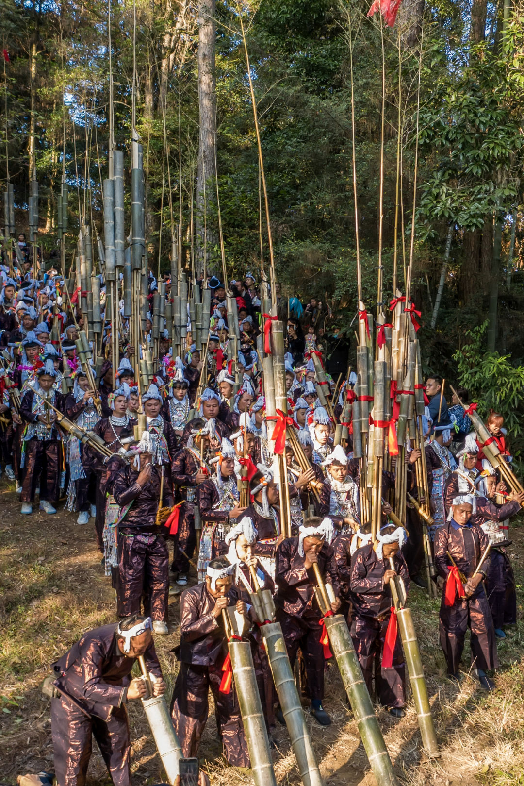 怎么才能看懂中国历史,如何详细的了解中国的历史