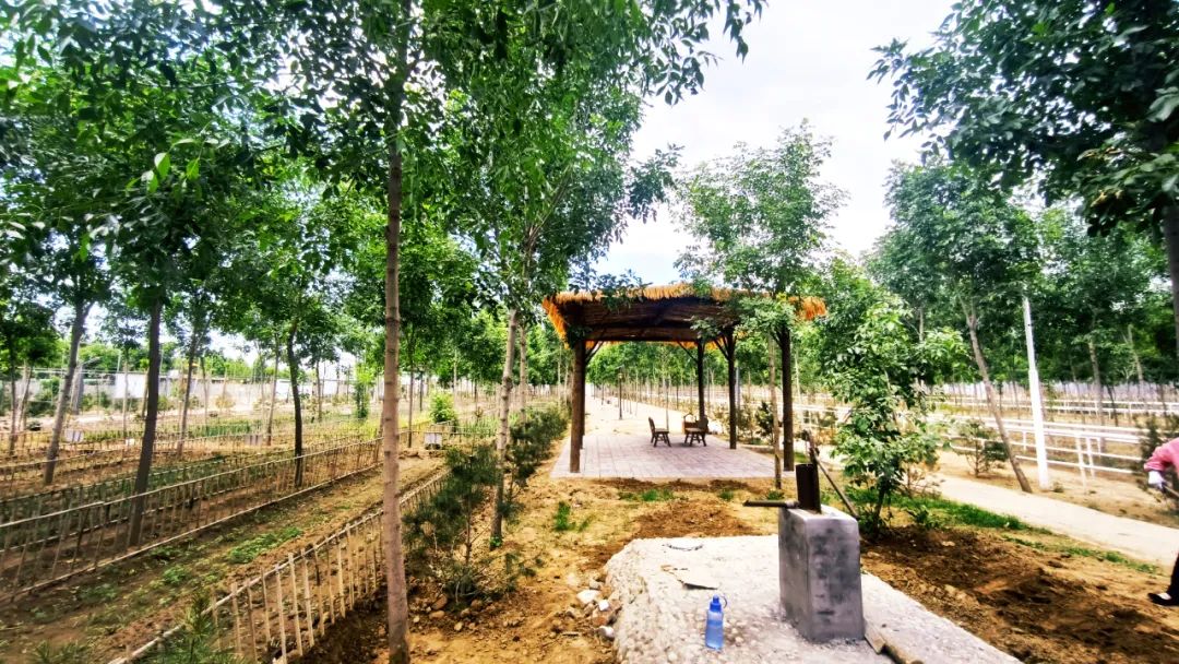 休闲农业和乡村旅游线路图,休闲农业旅游线路推荐