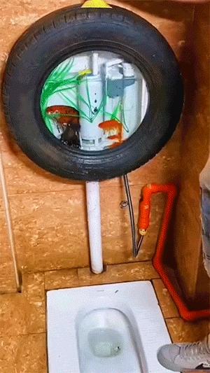 职业病犯了搞笑视频医生,搞笑gif职业病