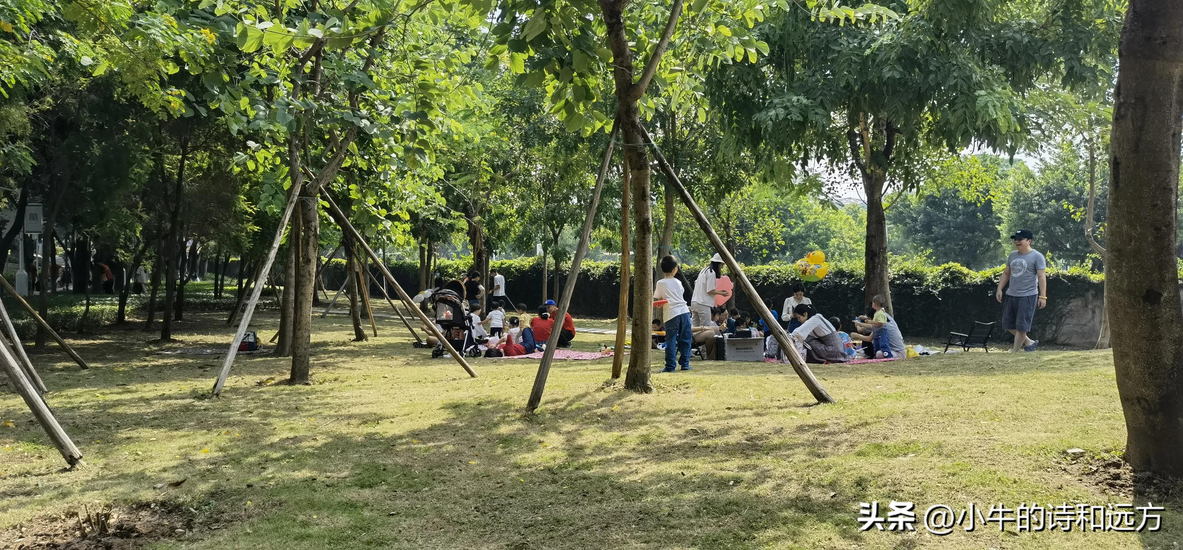 溜娃好去处就在紫谷萌宠乐园,青龙湖湿地公园遛娃攻略