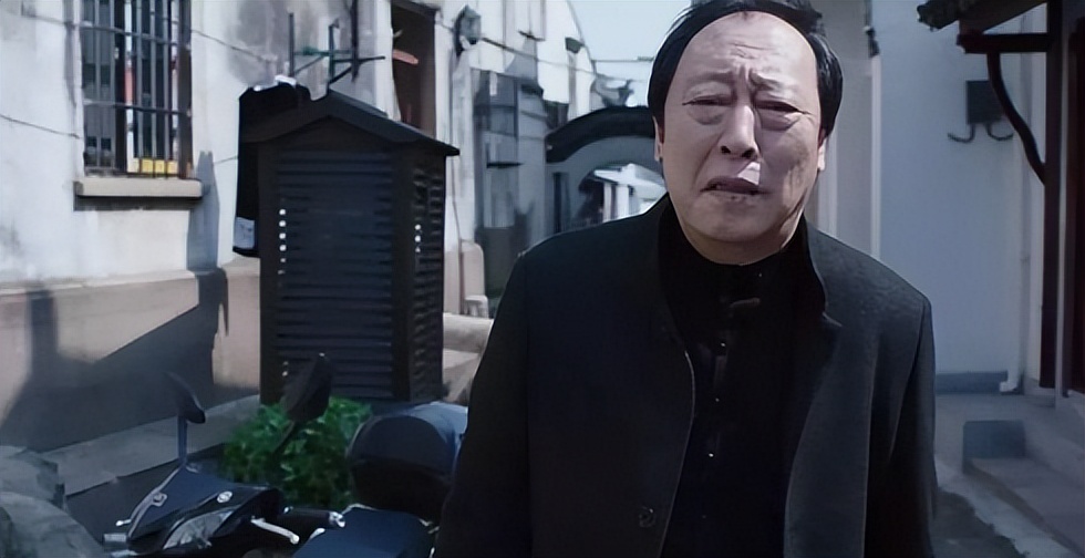 最具实力男演员靳东张嘉译,张嘉译靳东张译黄晓明光阴的故事