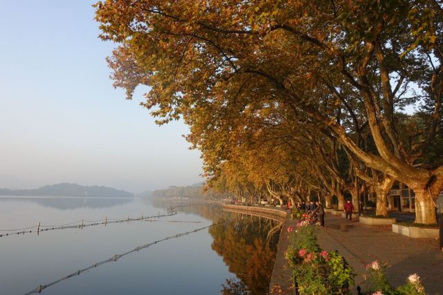 杭州周边赏秋好去处,杭州赏秋最佳攻略