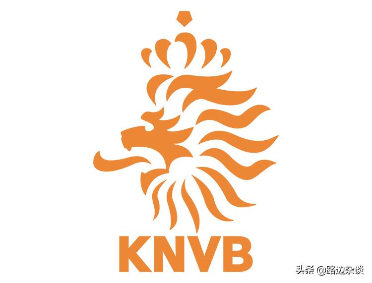 2016年荷兰足球队阵容,荷兰最巅峰世界杯阵容