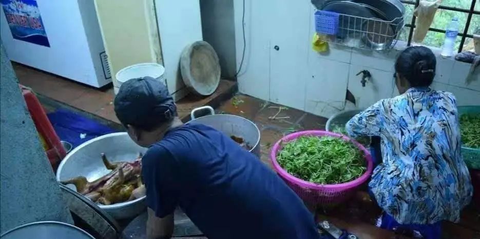 越南为什么没有苍蝇蚊子,越南为什么没有大熊猫