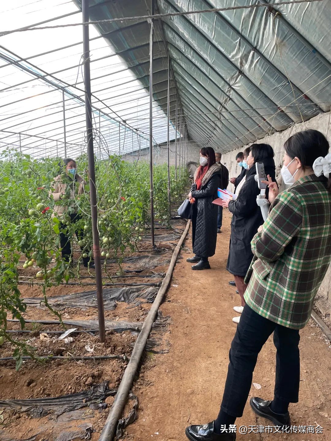 打造农特产品线上销售平台,蓟州农产品销售平台