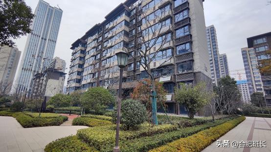 合肥滨湖招商雍华府附近规划,合肥省府中轴招商雍华府