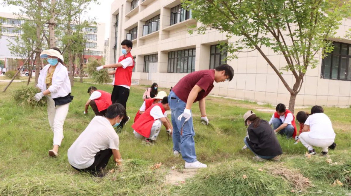 兰考县三农职业学院形象设计,兰考三农职业学院改造