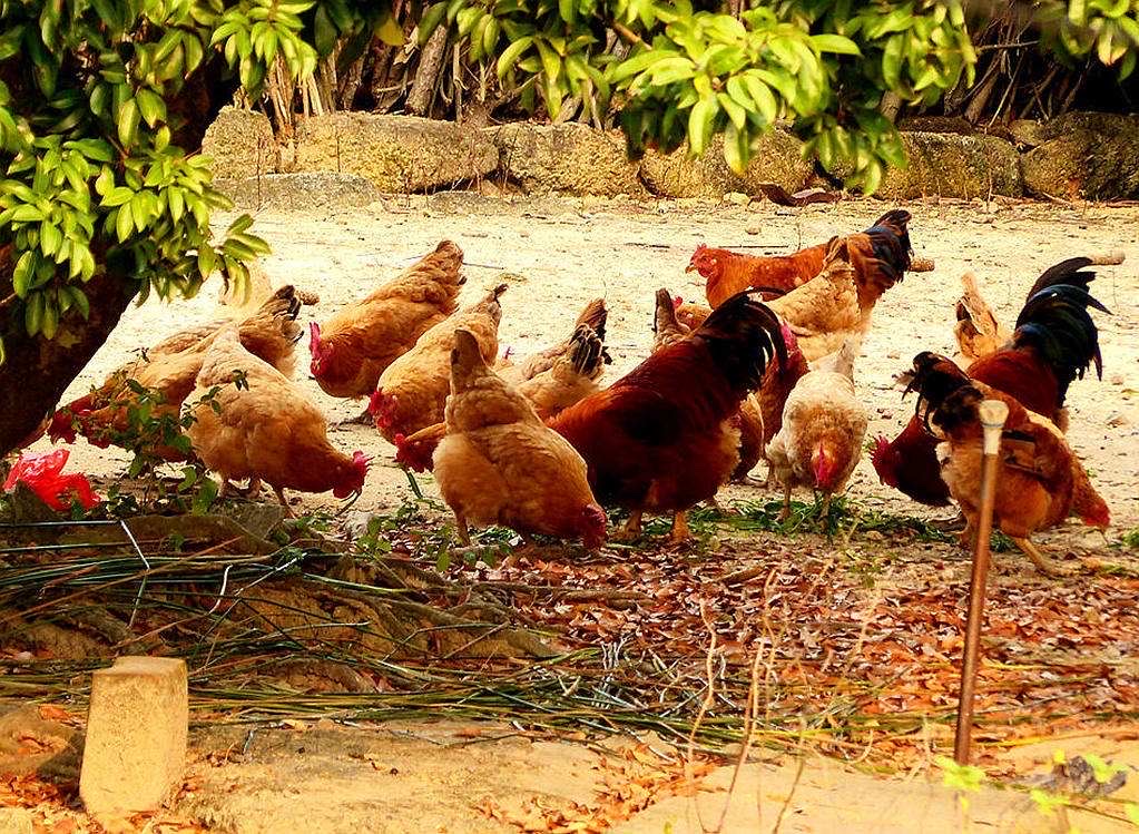 高高的紫云山,我们的青春故事曾在这里演绎