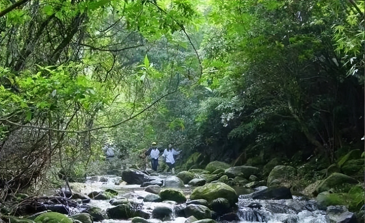 广东肇庆羚羊峡攻略,肇庆羚羊峡游记
