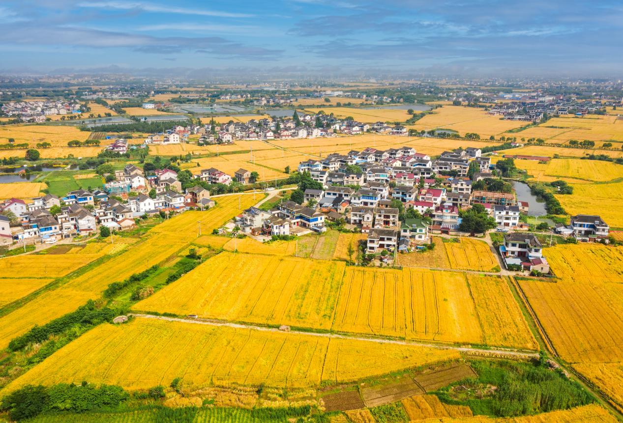 常熟之地“新粮农”