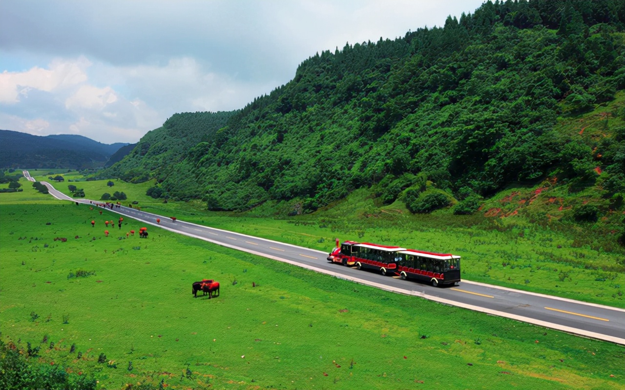 武隆仙女山和芙蓉洞哪个值得去,武隆仙女山一日游最佳景点