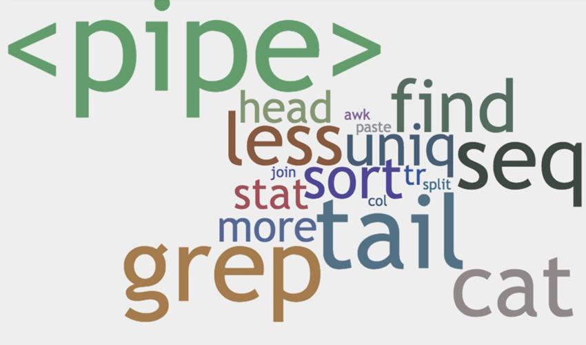 linux鐭ヨ瘑骞茶揣,鐪嬪畬杩欑瘒浣犱竴瀹氳兘鎺屾彙linux