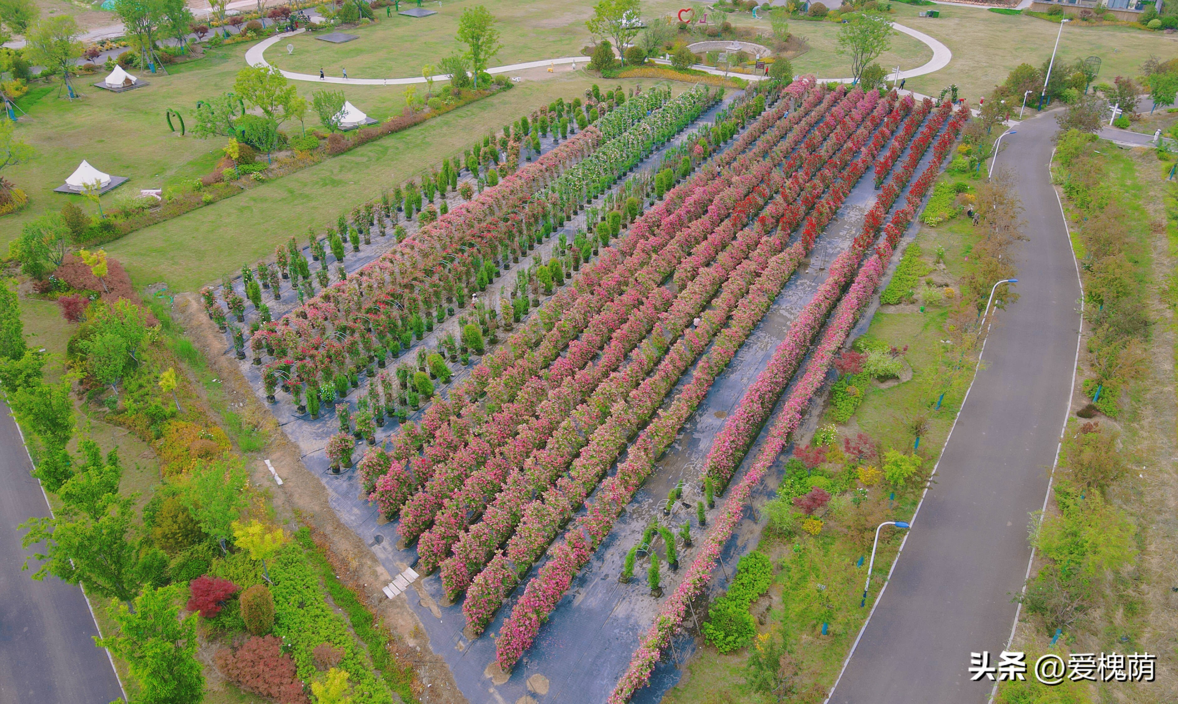 爱拍照的你怎能错过,拍照送给爱拍照的你