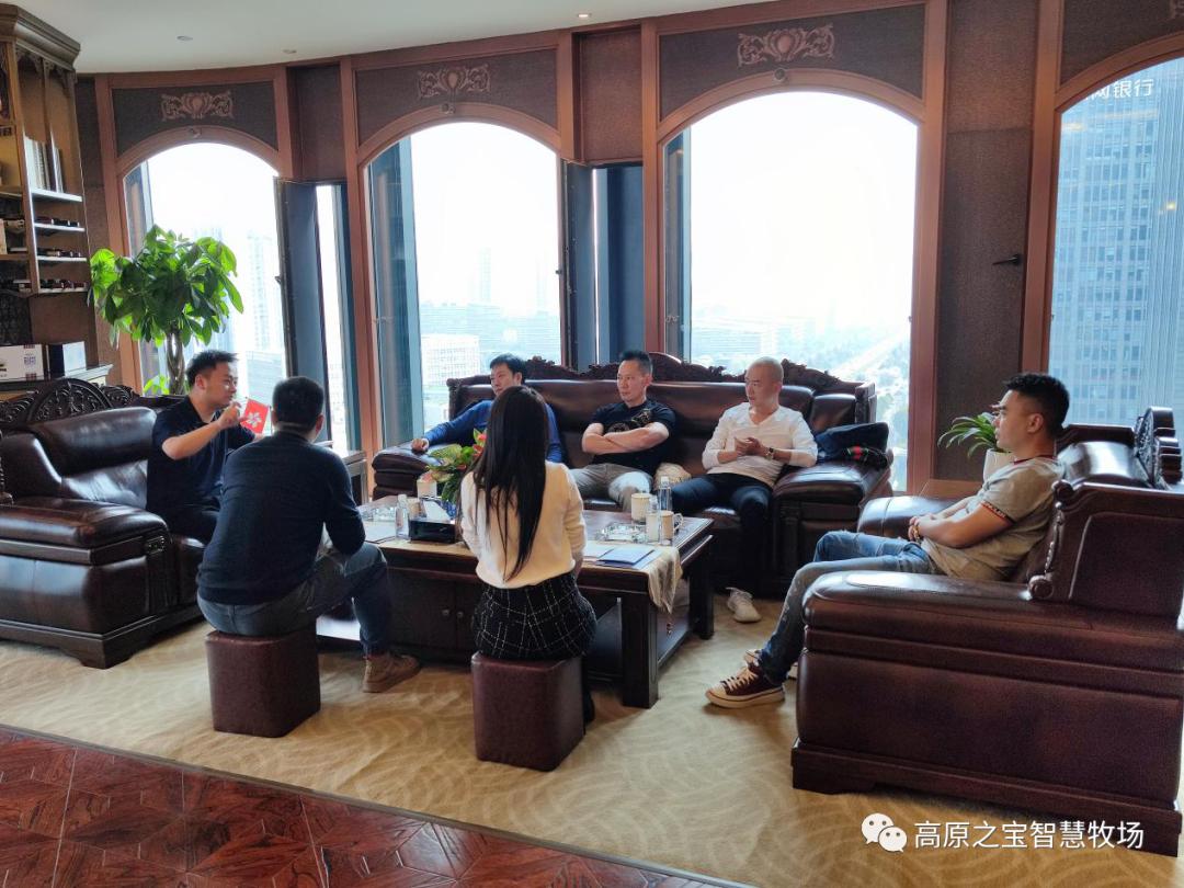 深圳润通集团携斯维登集团莅临我司参观访问