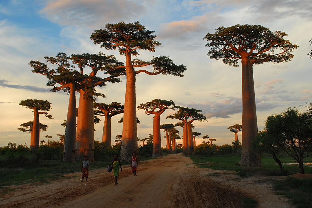 “马达加斯加”现状，带你看看真实的非洲岛国马达加斯加
