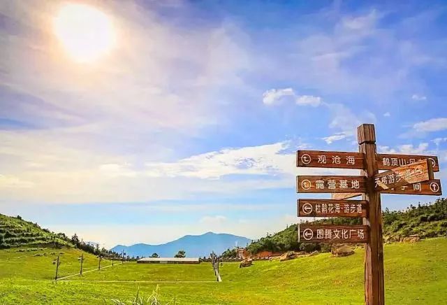 林中若有花，念的必是映山红