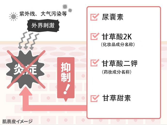 riceforceb面霜如何购买,riceforce米之珀测评