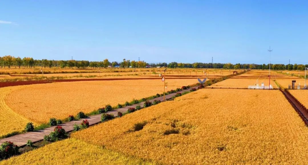 示范家庭农场申报推荐表填写,家庭农场财务网上申报怎么报