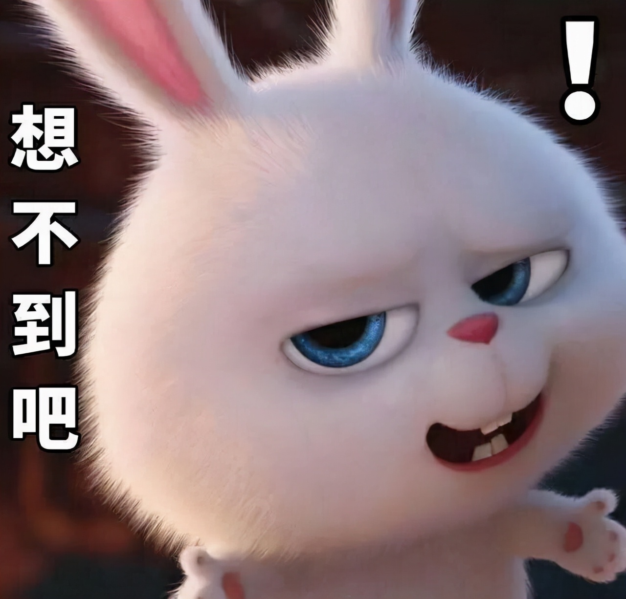 十二生肖兔的传奇,十二生肖中兔口碑如何