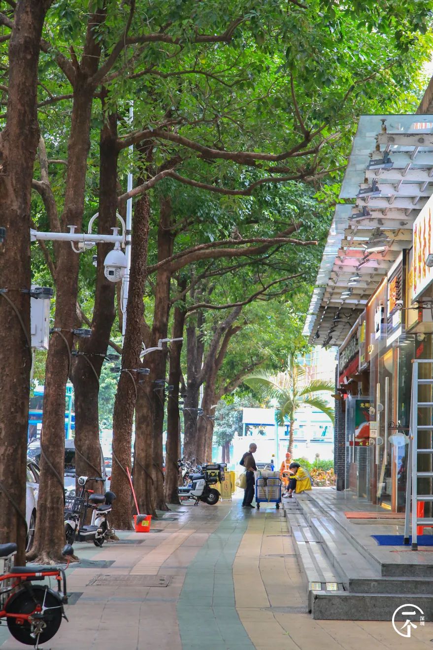 慢生活深圳400年古村落,深圳700年以上的古村